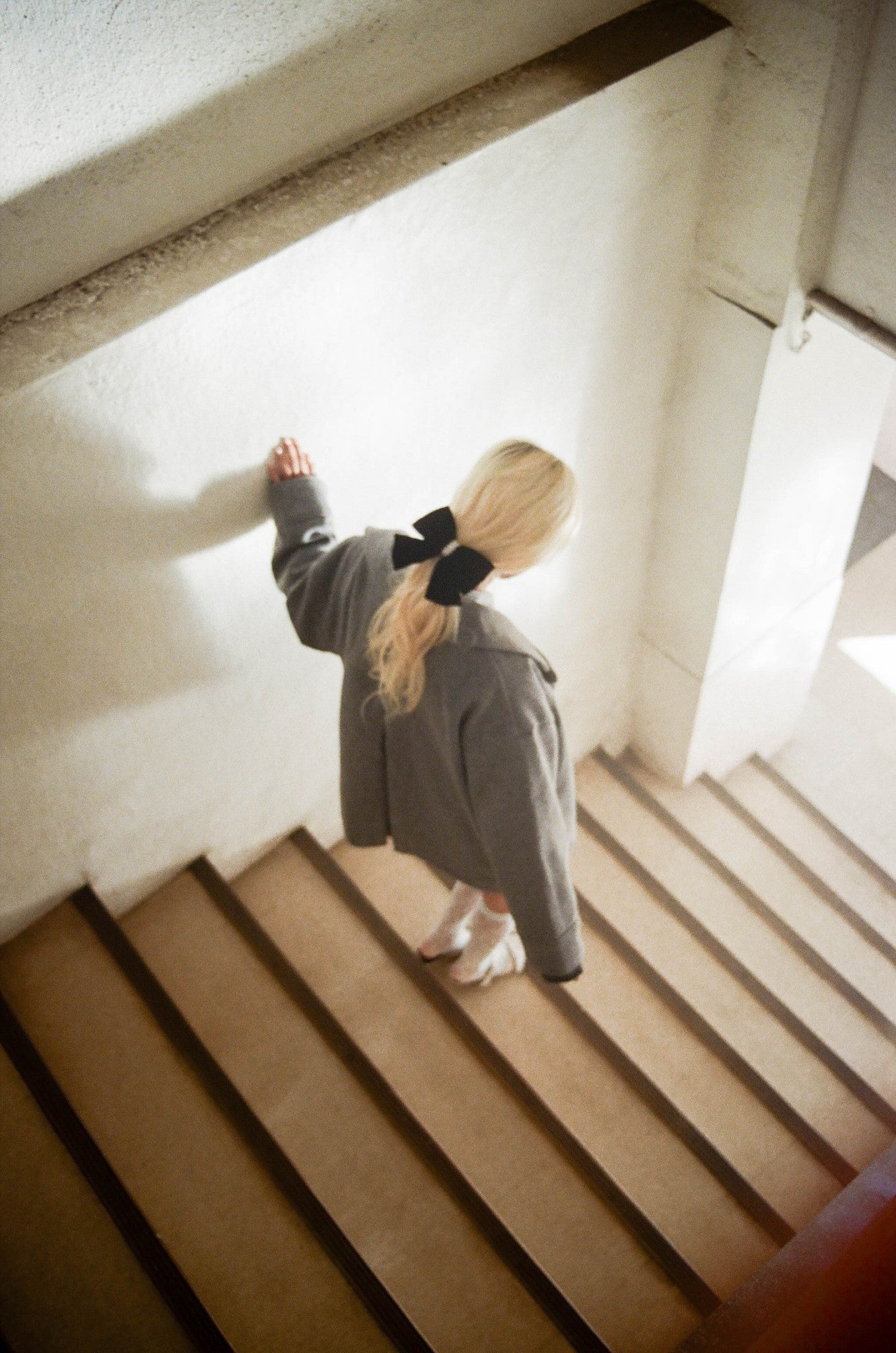 velour ribbon Valetta LHー17